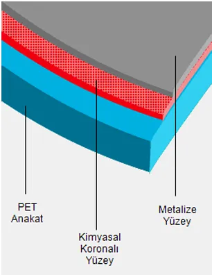 KMP